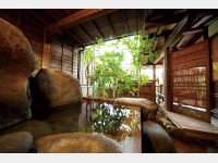 ����/�q�����C���