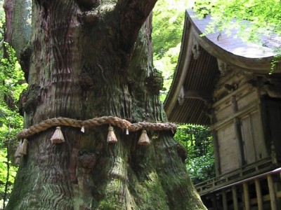 大杵社神社