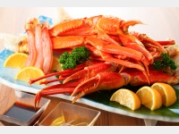 �[�H�i�G�O�[�N�e�B�u�o�C�L���O�j