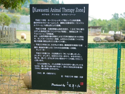 オーナーの想い