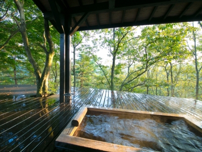 露天風呂付き離れ【野崎】