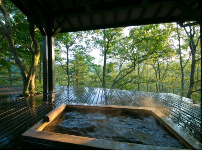 露天風呂付き離れ【野崎】