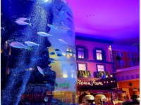 ���[���h�_�C�j���O�u�V�[�_�p���X�v