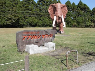 アフリカンサファリ