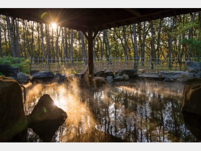 松泉宮温泉「月読」