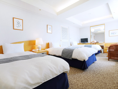 客室一例（スタンダードツイン+エキストラ）