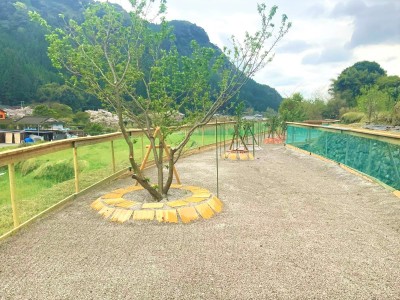 近隣の果樹園でワンちゃんを遊ばせることも可能です。　