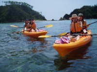 �V�[�J���b�N�c�A�[