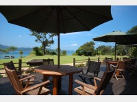 ���X�g�����E�b�h�f�b�L