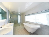 �f���b�N�X�q���o�X���[��