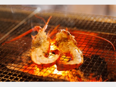 炉端焼き ぴき アラカルト一例