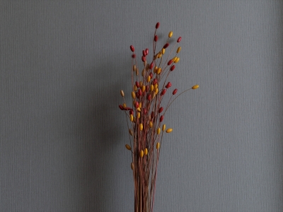 【館内】落ち着いた空間でお客様をお迎えいたします。