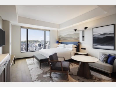 客室一例　DX1キング