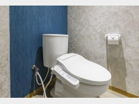 �V�����[�g�C������