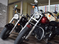 �n�[���[�_�r�b�h�\��