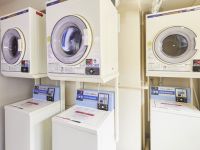 �R�C�������h���[