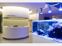 �t�����g