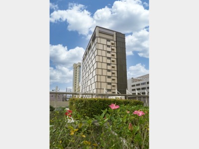 �z�e�����\���g���j�e�B�ߔe�̊O��