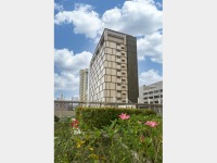 �����S�i�E�O��