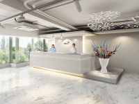 ���Z�v�V�����J�E���^�[