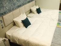 �X�^���_�[�h�c�C��(���j