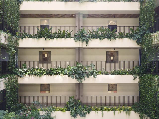 �A�g���E��