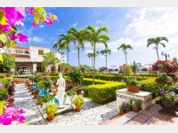 �p�e�B�I�i���땗�i�j