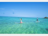 �j���C�r�[�`