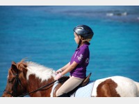 ��n�̌��C���[�W