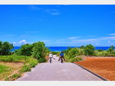 アクティビティイメージ