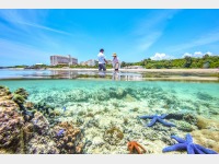 �v���O�����C���[�W