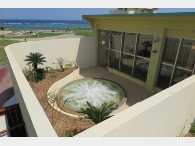 天然温泉～黒潮の湯～　外風呂