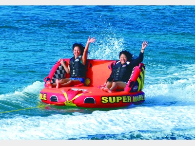 スキービスケットイメージ