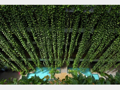 館内イメージ　吹き抜けの天井から垂れ下がる幾本の緑のポトス