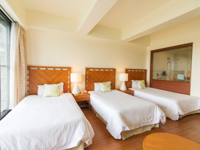 【禁煙】ナチュラルデラックス（イメージ）