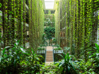 �A�g���E��