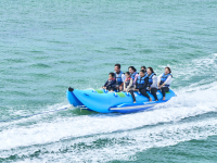 �h���S���{�[�g