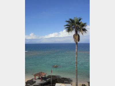 プライベートビーチ