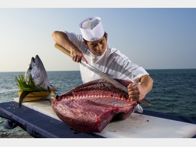 マグロの解体ショー（海人パーティー）