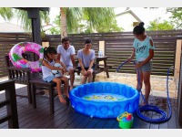 �K�[�f�����B���i���i�C�v�[���j�^�q�����