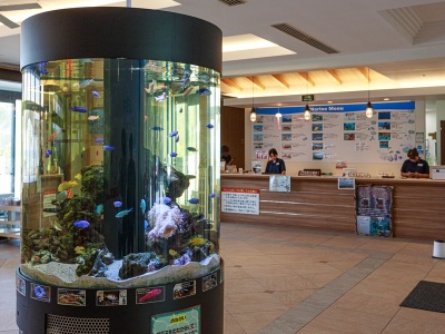 ミニ水族館とマリンカウンター