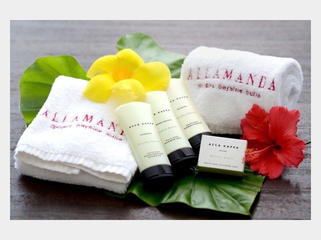 �G�X�e���