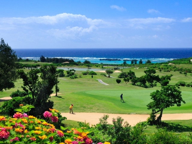 �S���t�b�V�M���x�C�J���g���[�N���u(�Ԃ�5���A�������}�L��)