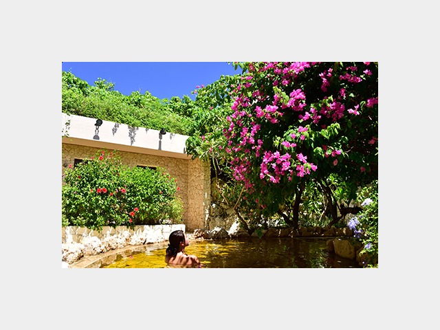 �V�M����������b�I�V���C�i�Ԃ�2���A�������}�L��j