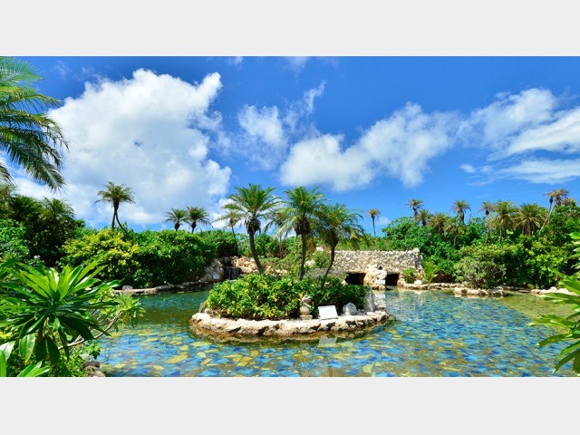 �V�M����������b�W�����O���v�[���i�Ԃ�2���A�������}�L��j