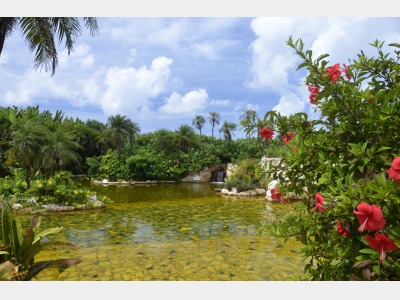 シギラ黄金温泉｜ジャングルプール