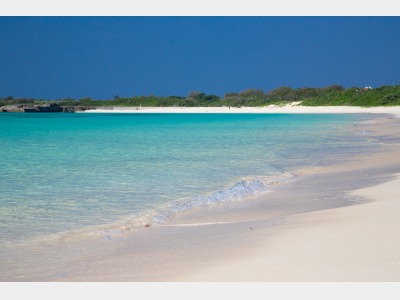 一番近いビーチ　渡口の浜