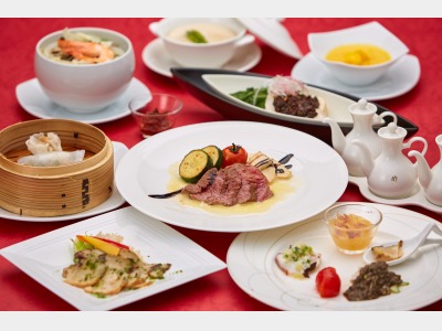 チャイナチャドー　イメージ