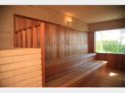 ドライサウナ