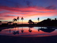 �v�[���i�[�i�j